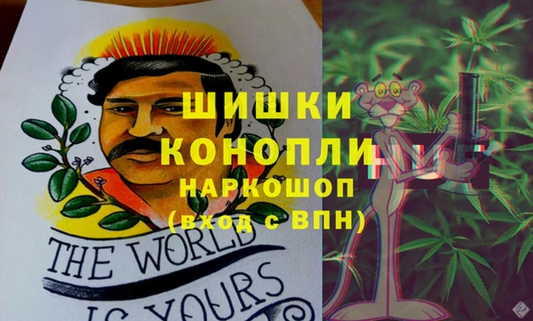 твердый Протвино