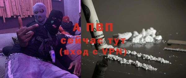 PSILOCYBIN Бородино