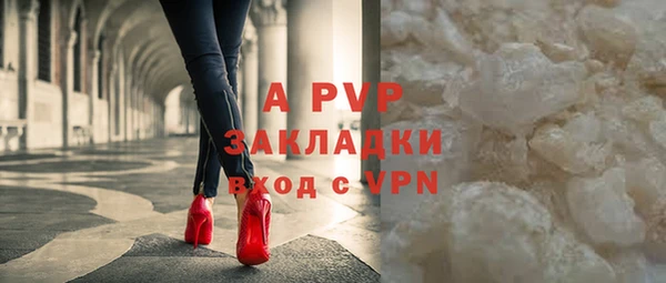 дмт Белокуриха