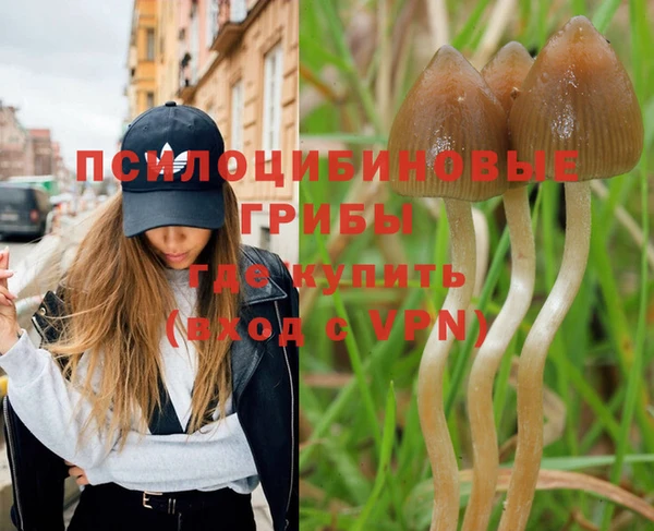 бутират Богданович